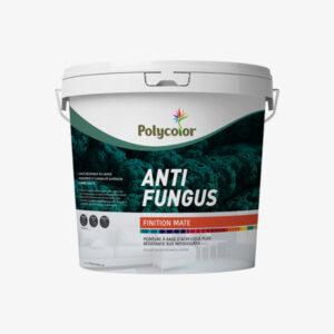 Anti Fungus